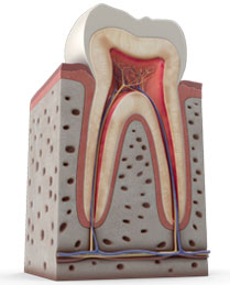 Periodoncia en El Casar | Oeste Dental - Clínica dental en El Casar