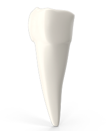 Prótesis dental en El Casar | Oeste Dental – Clínica dental en El Casar Prótesis dental en El Casar | Oeste Dental - Clínica dental en El Casar